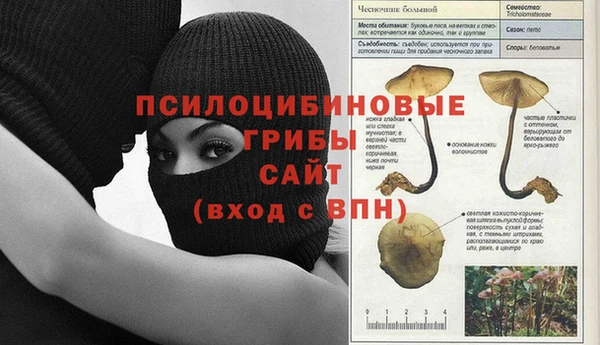 ПСИЛОЦИБИНОВЫЕ ГРИБЫ Волоколамск