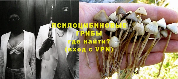 ПСИЛОЦИБИНОВЫЕ ГРИБЫ Волоколамск