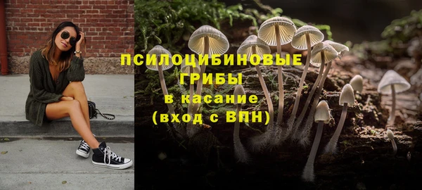 ПСИЛОЦИБИНОВЫЕ ГРИБЫ Волоколамск
