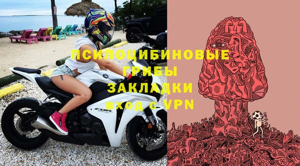 дурь Володарск